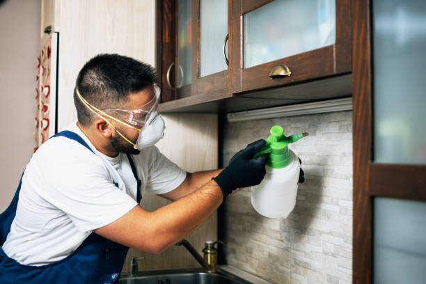 Reliable League City, TX Pest Control Solutions